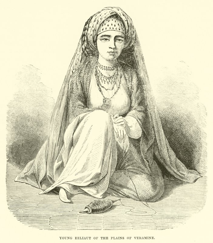Jeune Eeliaut des plaines de Veramine - English School