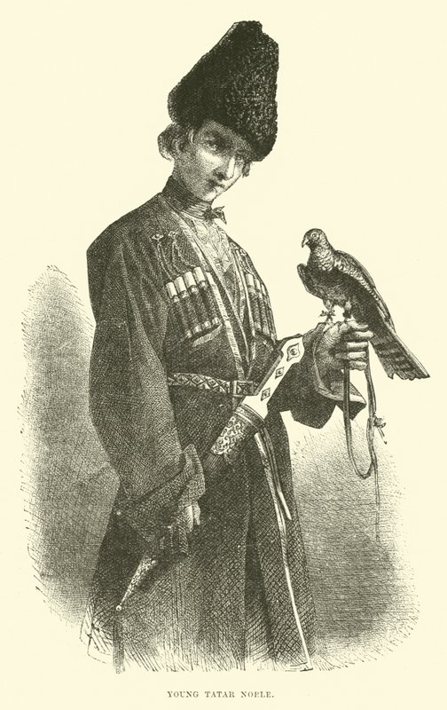 Jeune noble tatar - English School