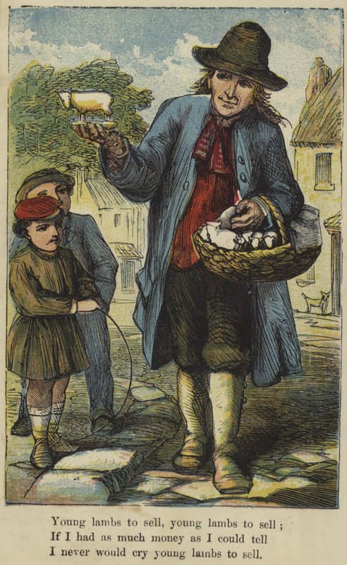 Jeunes agneaux à vendre - English School