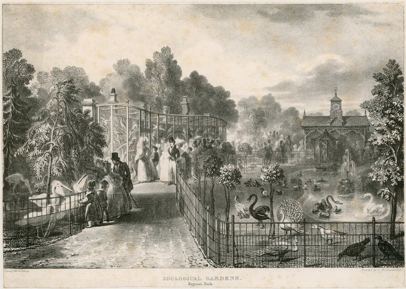 Jardins zoologiques, Regents Park - English School