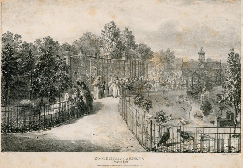 Jardins zoologiques, Regents Park - English School