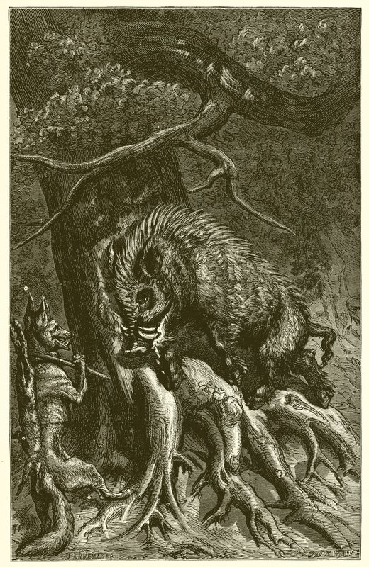 Le Renard et le Sanglier - Ernest Henry Griset