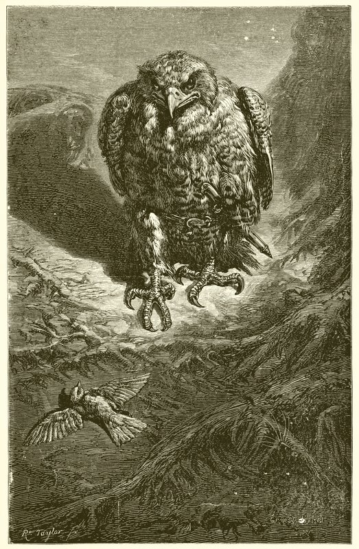 Le Faucon et le Rossignol - Ernest Henry Griset
