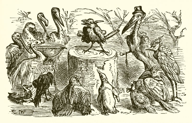 Le paon et la pie - Ernest Henry Griset