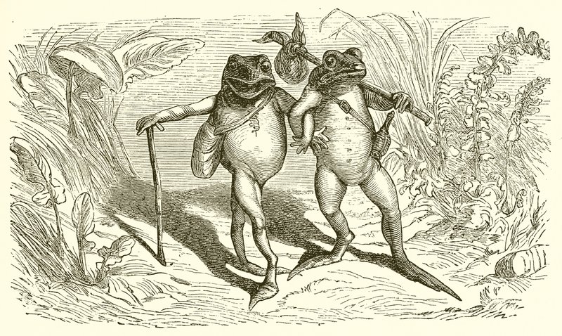 Les Deux Grenouilles - Ernest Henry Griset