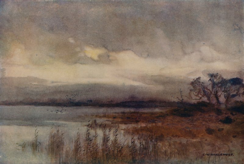 Hickling Broad - Ernest William Haslehust