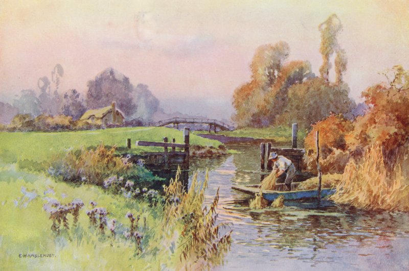 La Tamise : Bras mort vers la Wey - Ernest William Haslehust