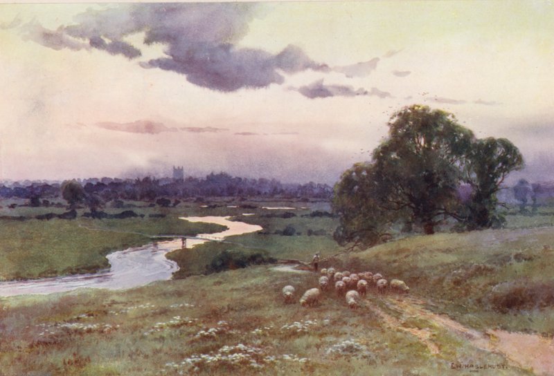 La Tamise : vue depuis Eisey Hill - Ernest William Haslehust
