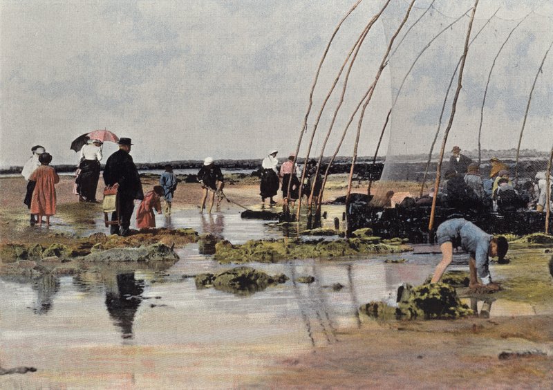 La Pêche autour du parc - European Photographer