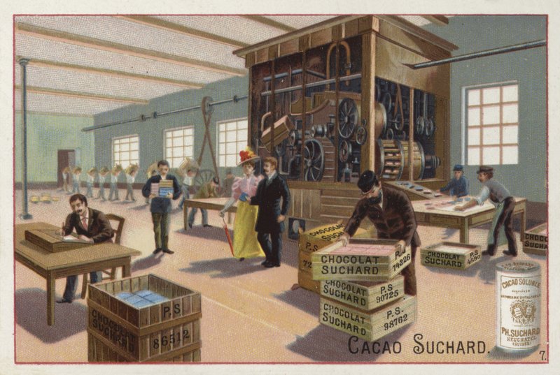 Machine pour transformer le cacao en chocolat - European School