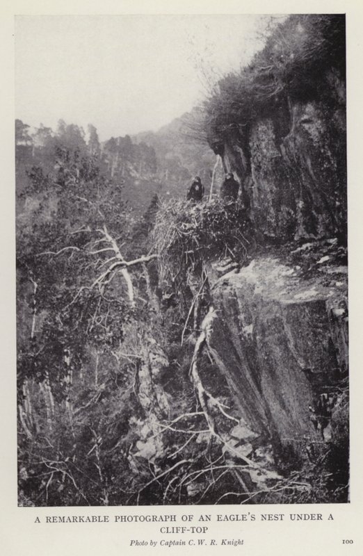 Photographie remarquable d