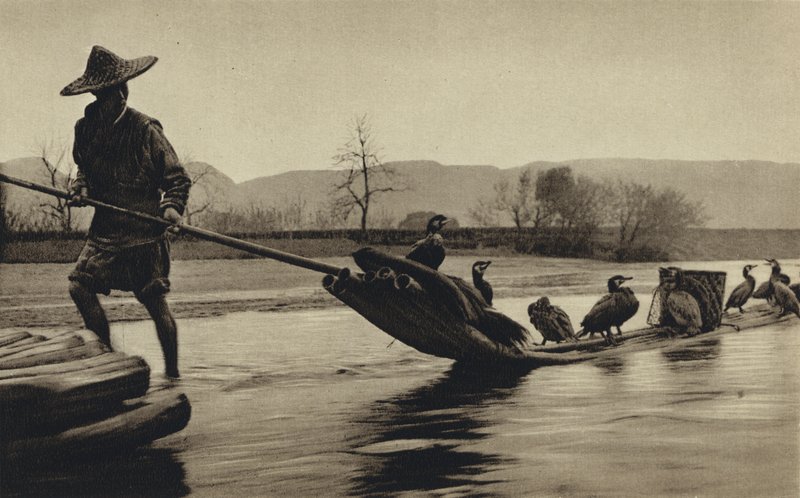 Chine, pêche aux cormorans - European Photographer