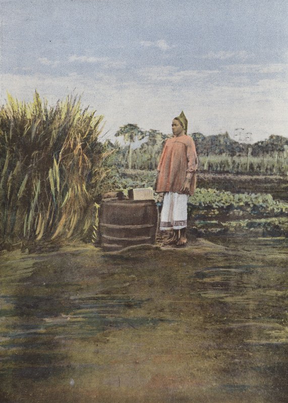 Femme Africaine - European Photographer