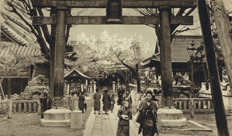 Japon, rue à Tokyo, période des cerisiers en fleurs - European Photographer