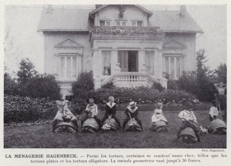 La ménagerie Hagenbeck - European Photographer