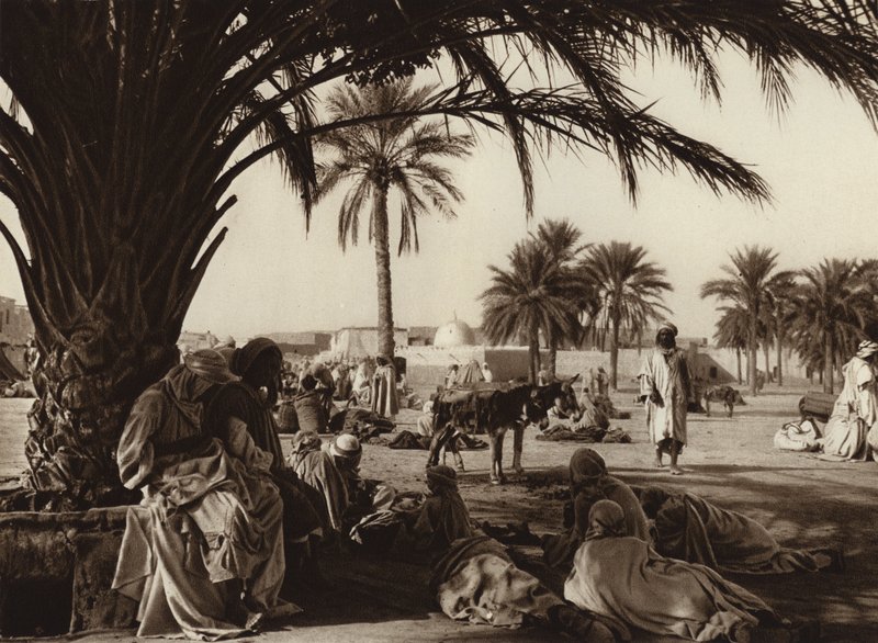 Oasis de Touggourt - European Photographer