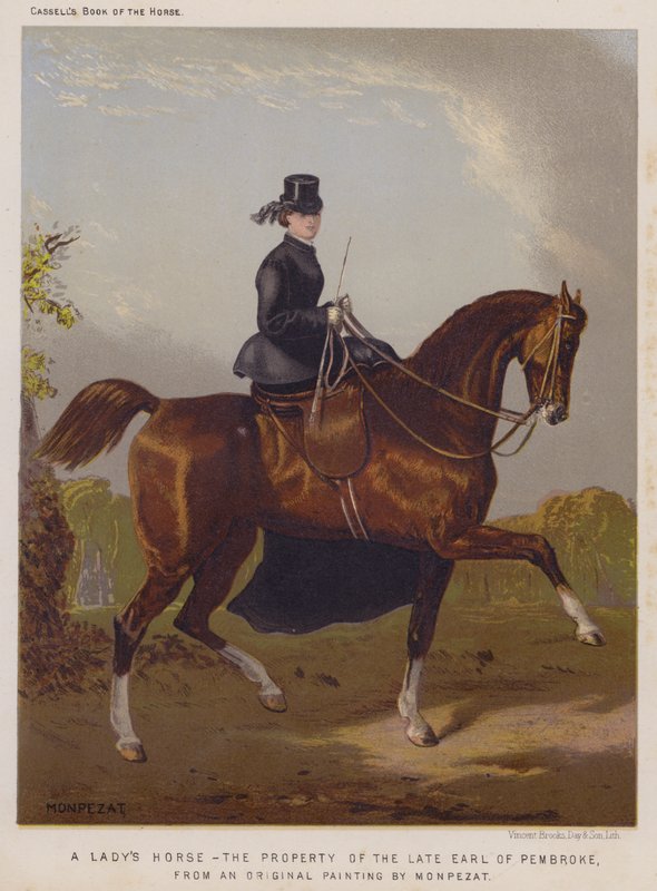Le cheval d