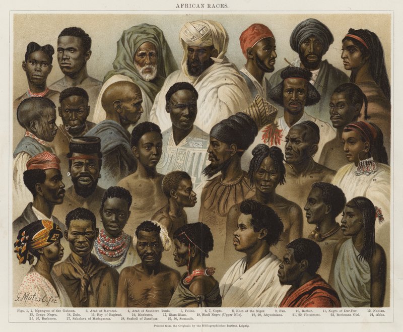 Races africaines - European School