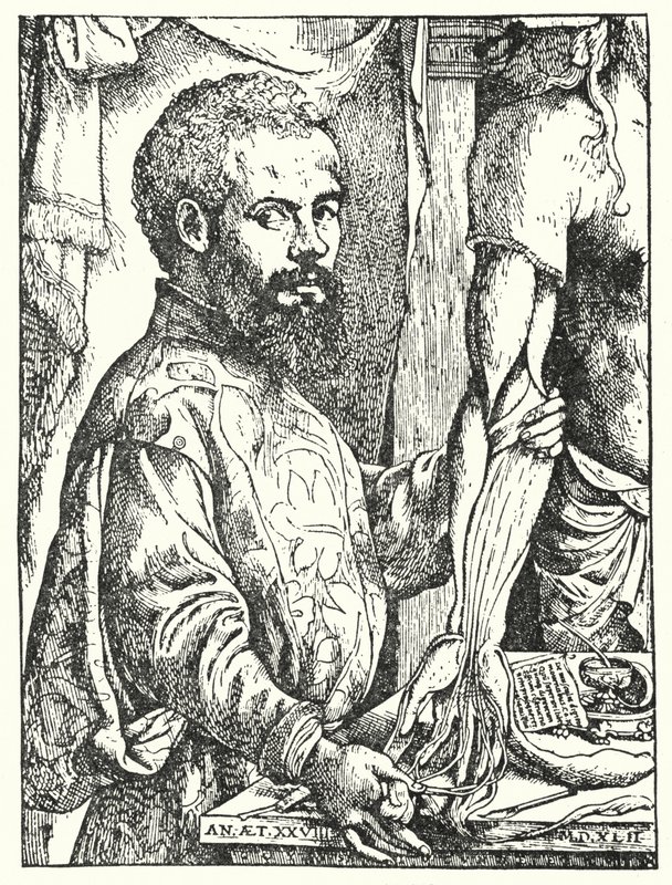 Andreas Vesalius - European School