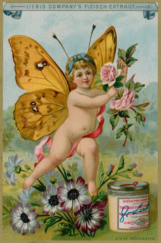 Chérubin Papillon avec des Marguerites - European School