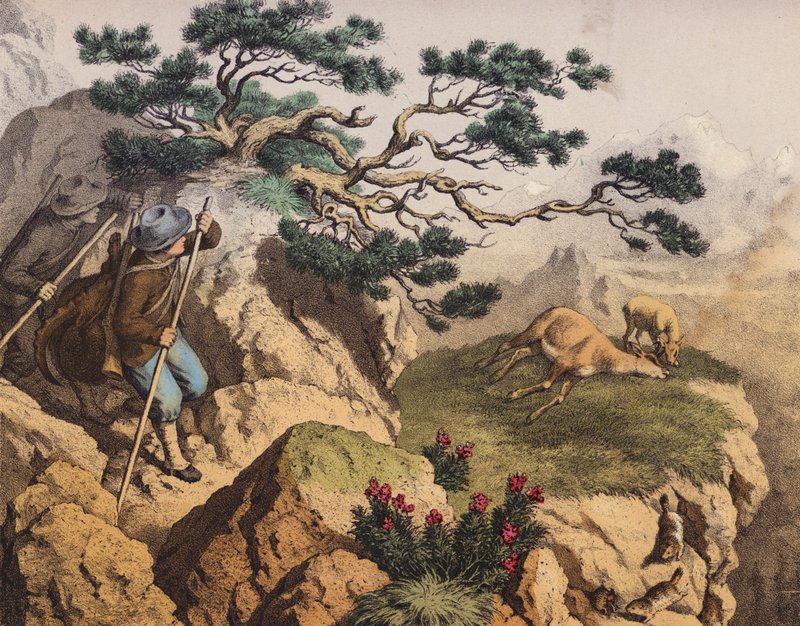 Chasseurs de chamois des Alpes, l
