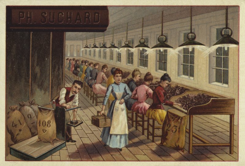 Usine de transformation du cacao - European School