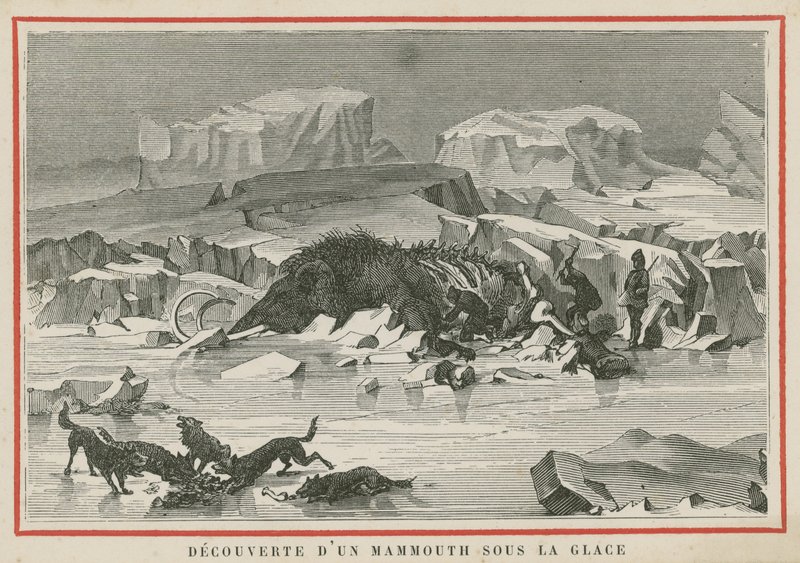 Découverte d