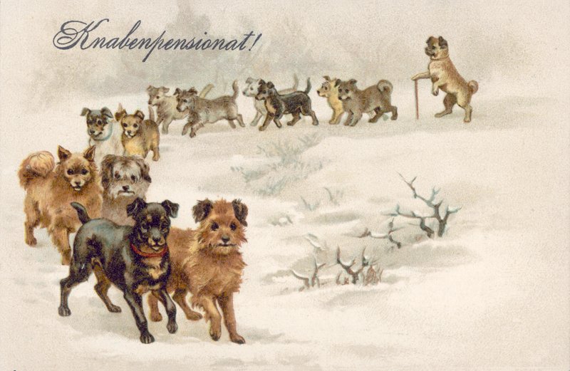 Carte postale de chien (lithographie couleur) - European School
