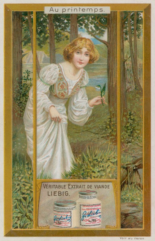 Fille avec des perce-neige - European School