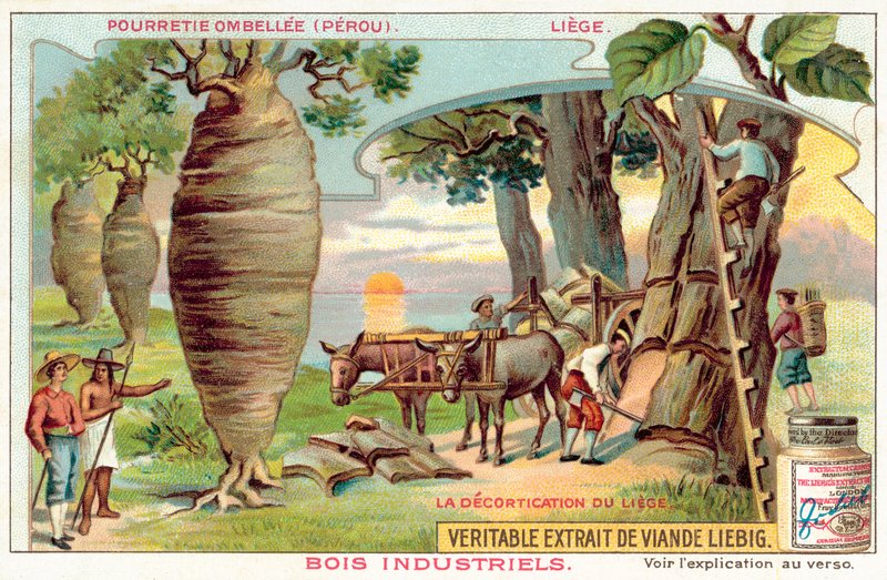 Récolte d