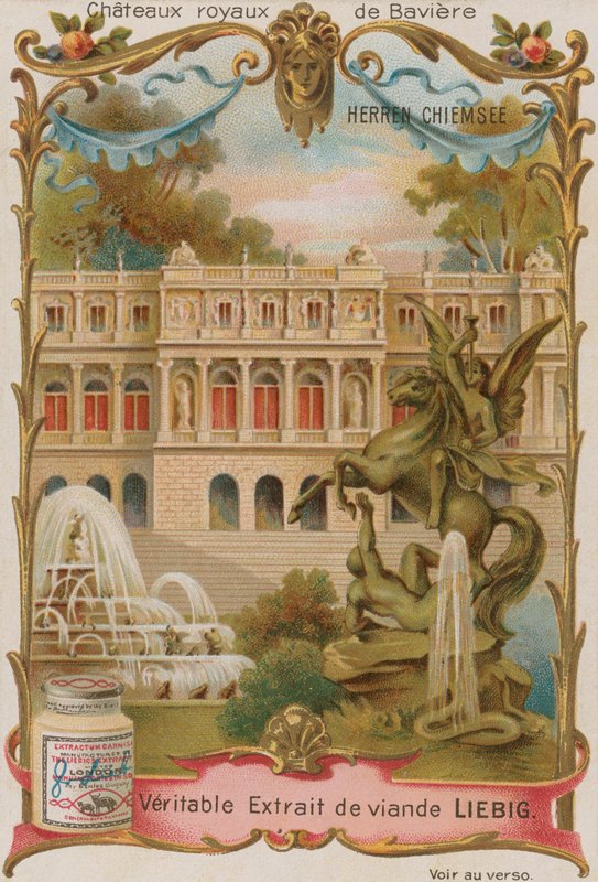 Herren Chiemsee - European School