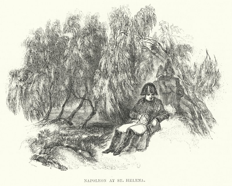 Napoléon à Sainte-Hélène - European School