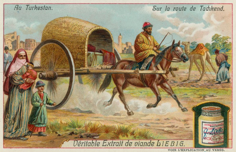 Sur la Route de Tachkent en Ouzbékistan - European School