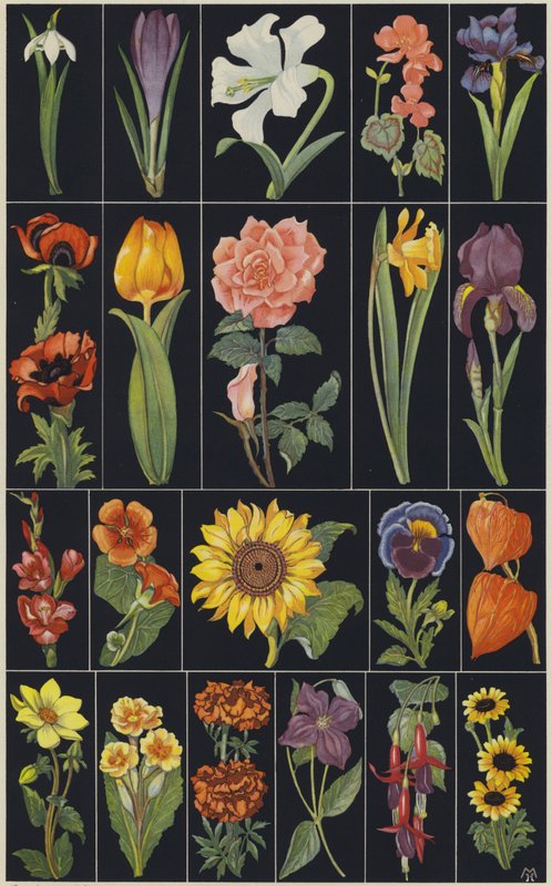 Page d
