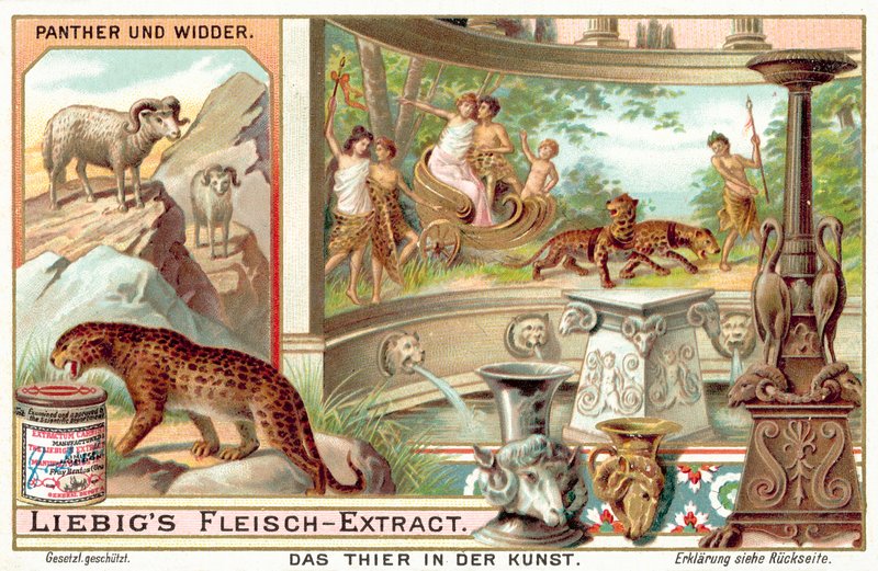 Panthères et béliers - European School