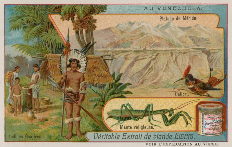 Plateau de Mérida avec Colibri, Mante Religieuse et Indiens Wayu - European School
