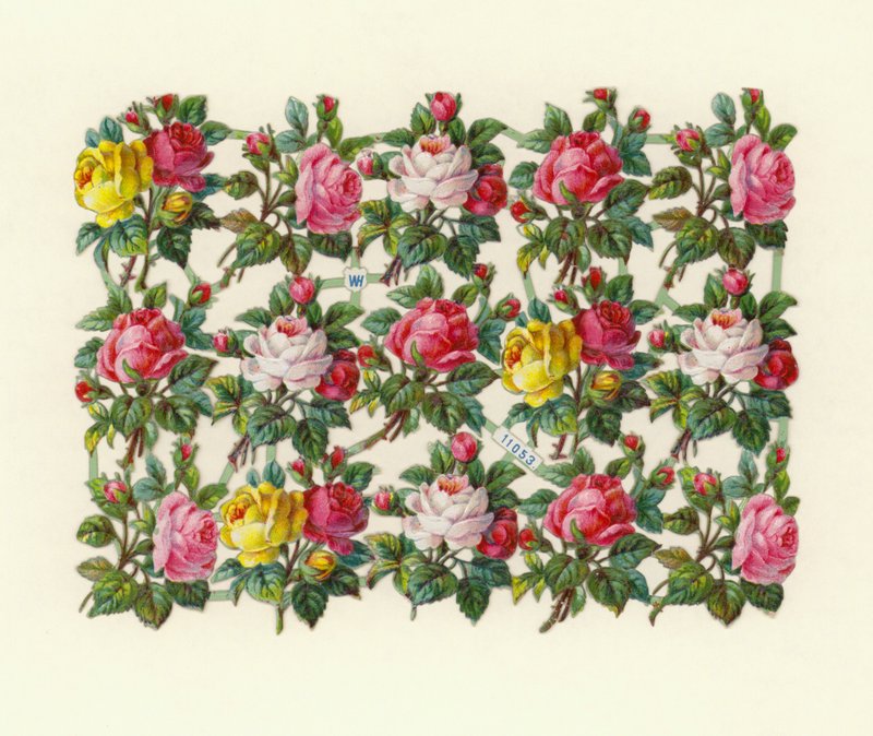 Roses - European School
