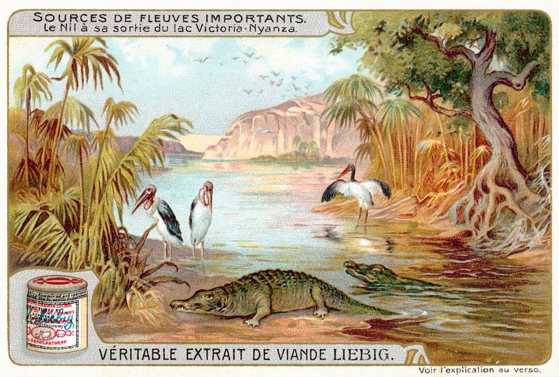 Le Nil à sa sortie du lac Victoria (chromolithographie) - European School