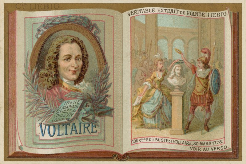 Voltaire - European School