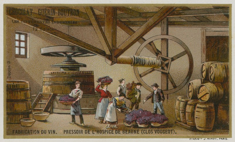 Vinification : pressoir des Hospices de Beaune, Clos de Vougeot, Bourgogne, France - European School
