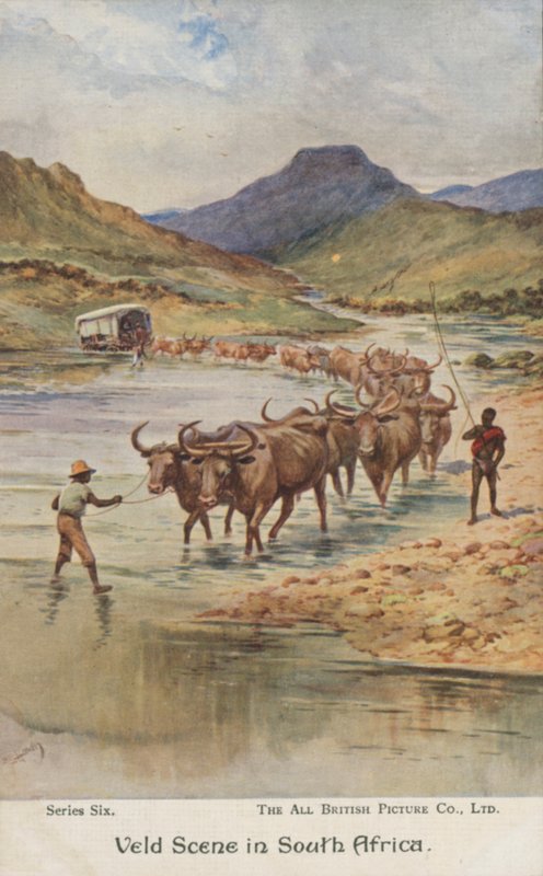 Fermiers conduisant du bétail, Afrique du Sud (lithographie en couleur) - Evelyn Stuart Hardy