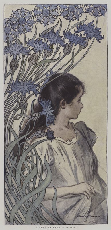 Fleurs Animées. Le Bluet. (Fleurs animées : le bleuet) (lithographie en couleur) - Firmin (after) Bouisset
