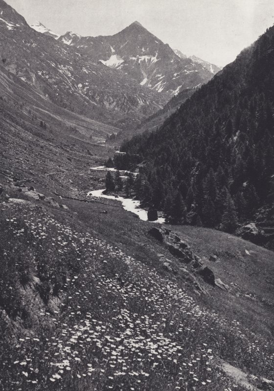 Alpes orientales : Dans la vallée de Windach - Francis Sydney Smythe