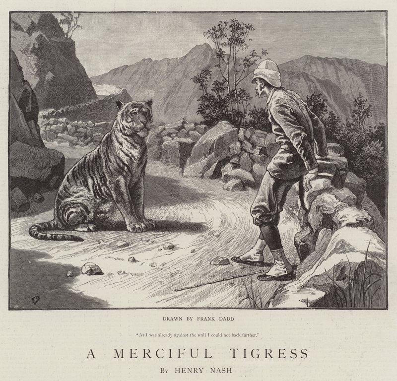 Une Tigresse Miséricordieuse - Frank Dadd