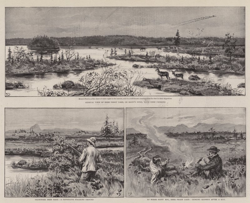 Agriculture et sport à Terre-Neuve - Frank Dadd
