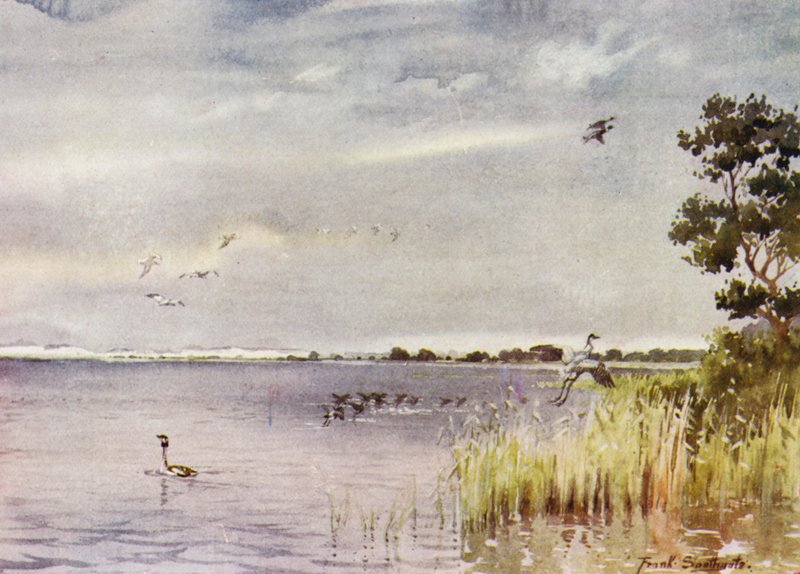 Norfolk Broads : Horsey Mere - Frank Southgate