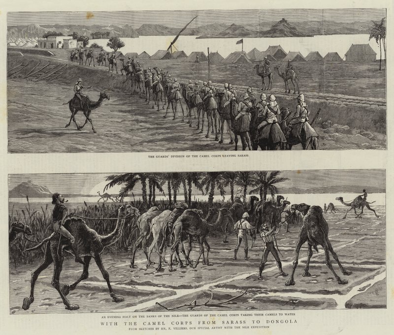 Avec le corps de chameaux de Sarass à Dongola - Frederic Villiers