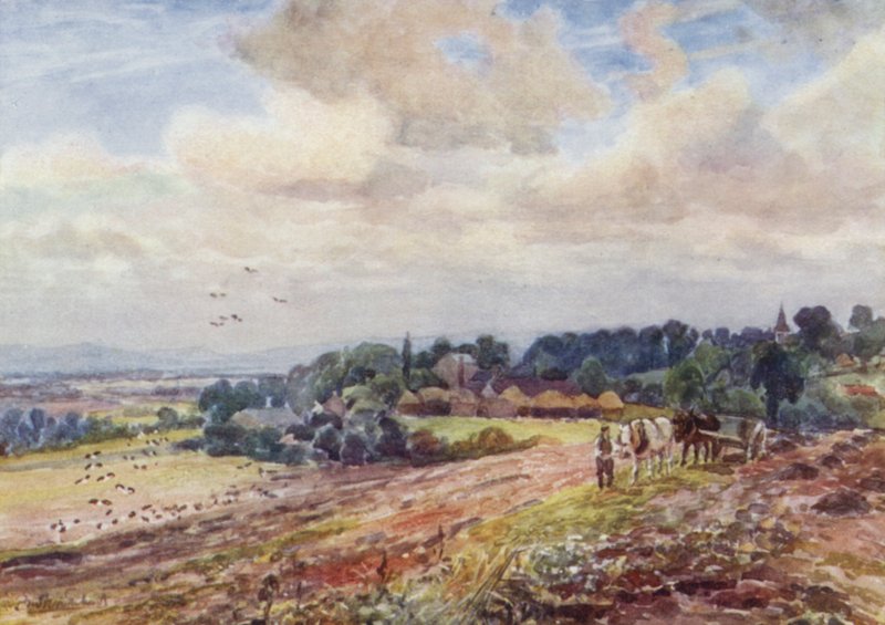 Hungry Grafton - Frederick William Newton Whitehead