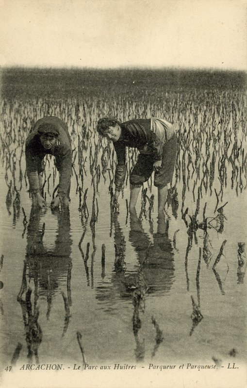 Arcachon, Le Parc aux Huîtres - French Photographer