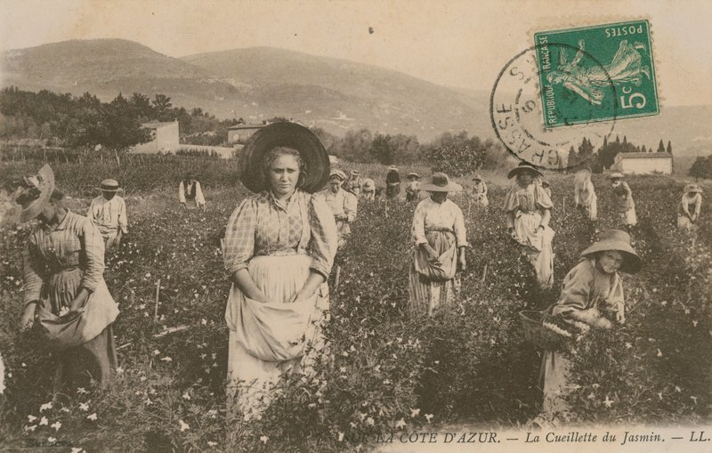 Côte d